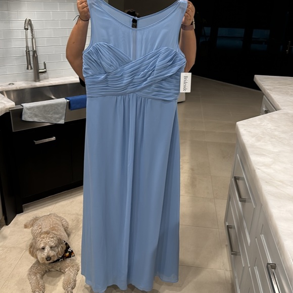 Brideside Bridesmaid Dress NWT size 20 unaltered Monica Sky Blue - Picture 6 of 7